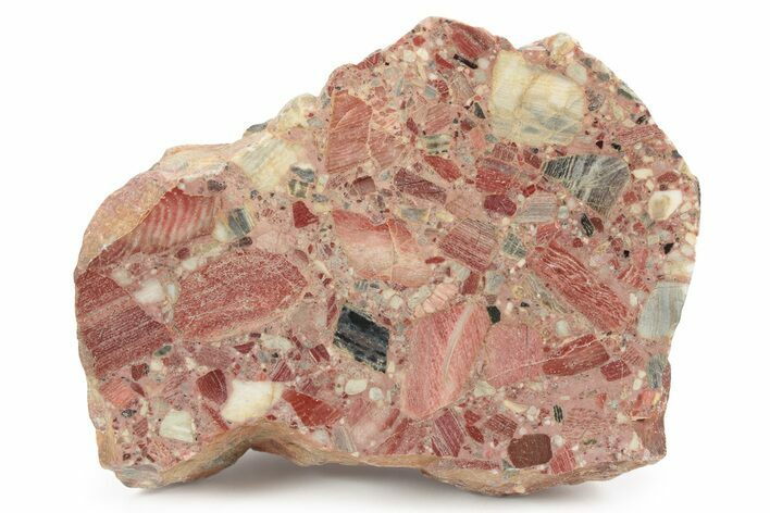 Polished Chert Breccia Section - Western Australia #240111